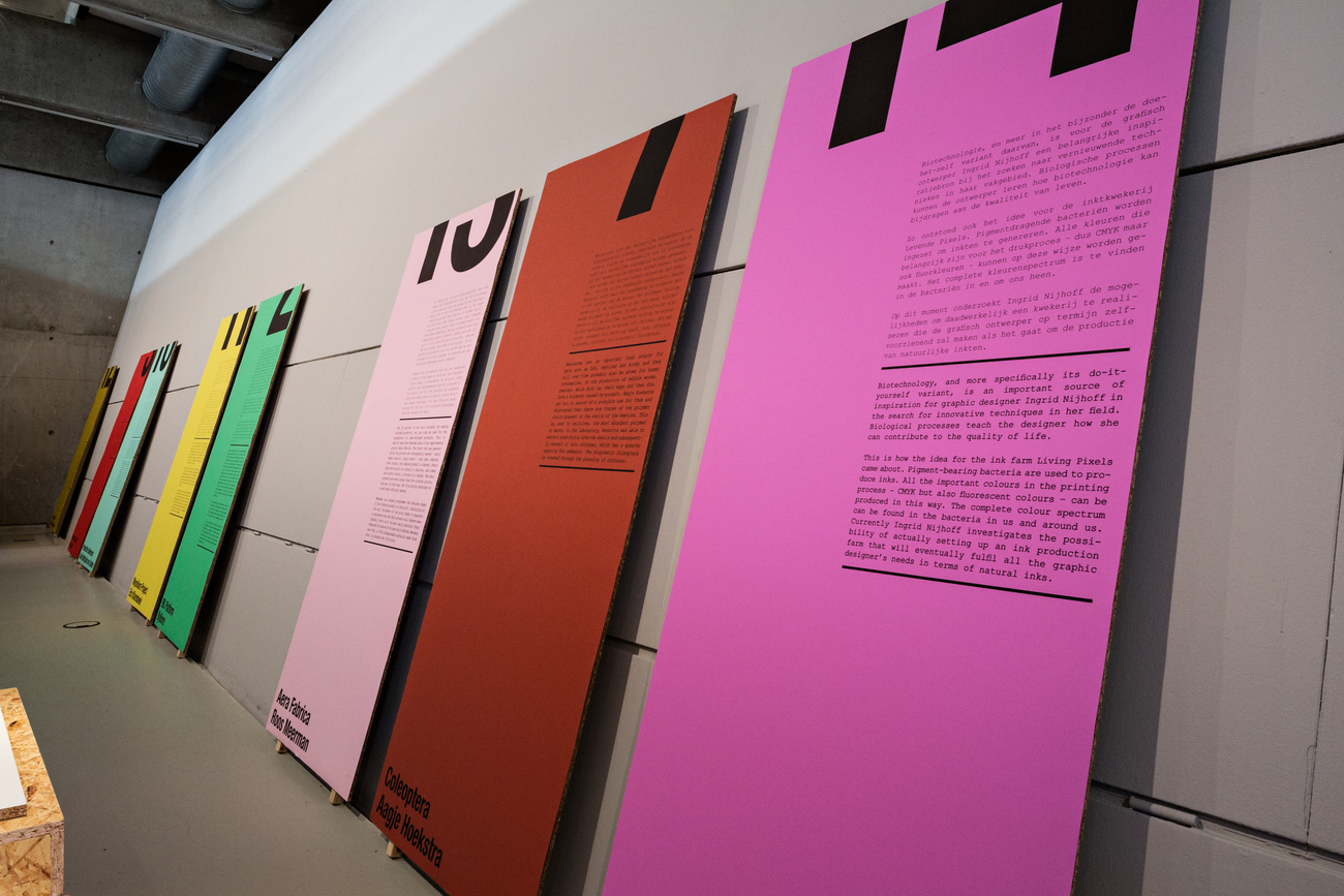 New Material Award Lauren Grusenmeyer nma4