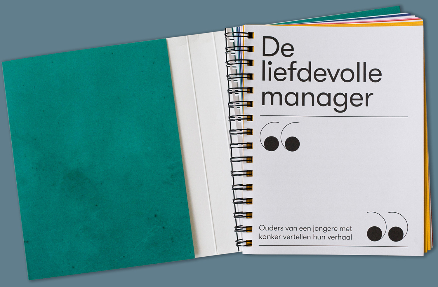 DE-LIEFDEVOLLE-MANAGER-1