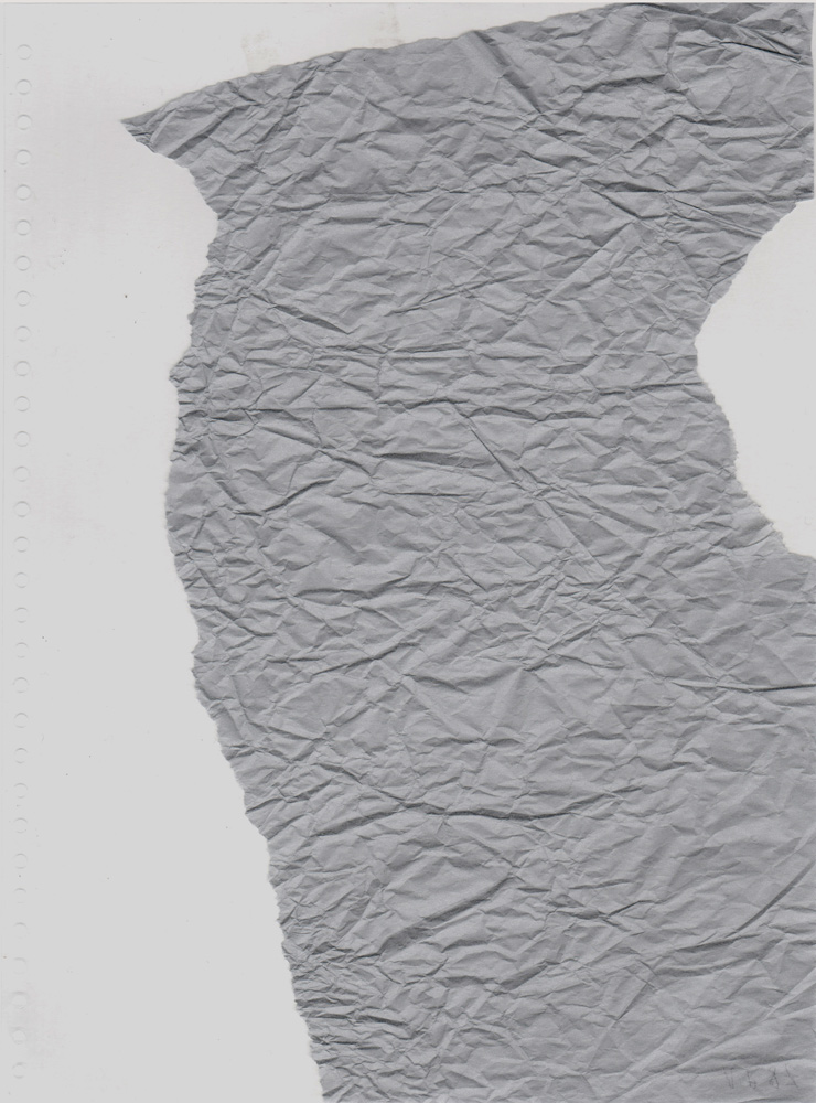 Accidental Paper Scraps Lauren Grusenmeyer Accidental Paper Scraps Lauren Grusenmeyer