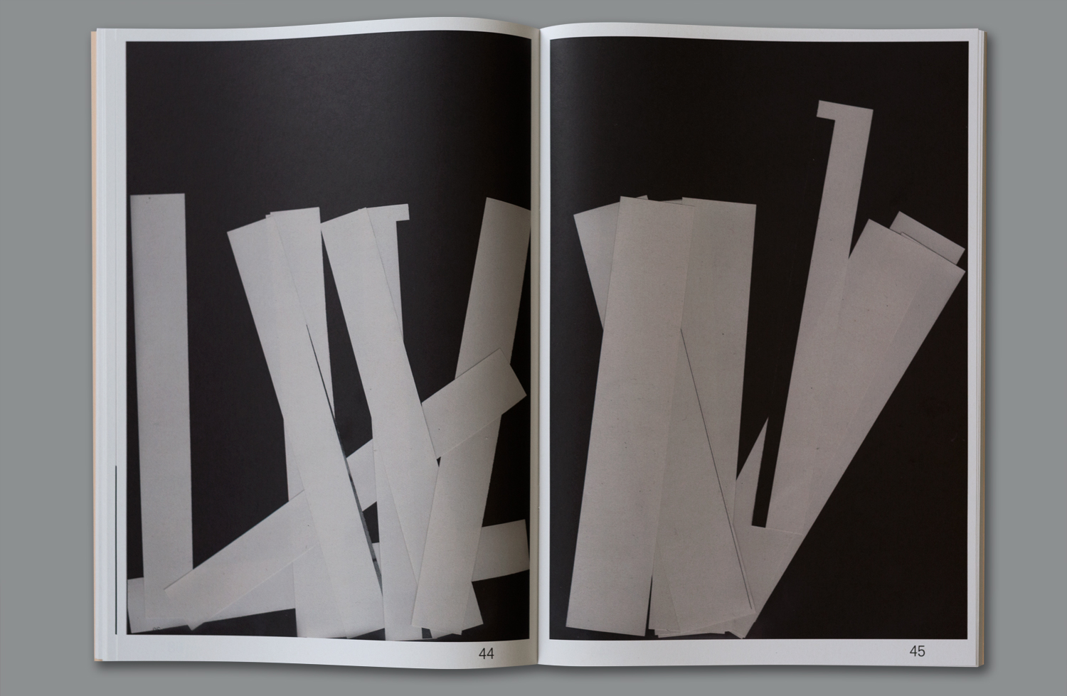 BOOK-ACCIDENTAL-PAPER-SCRAPS-6
