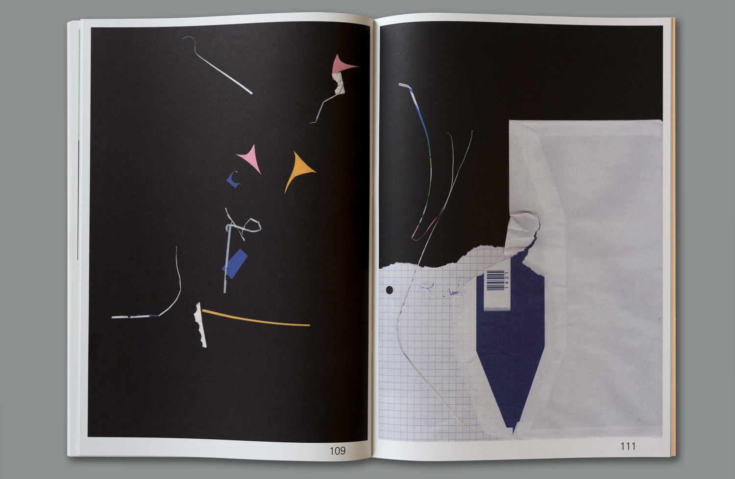 BOOK-ACCIDENTAL-PAPER-SCRAPS-7